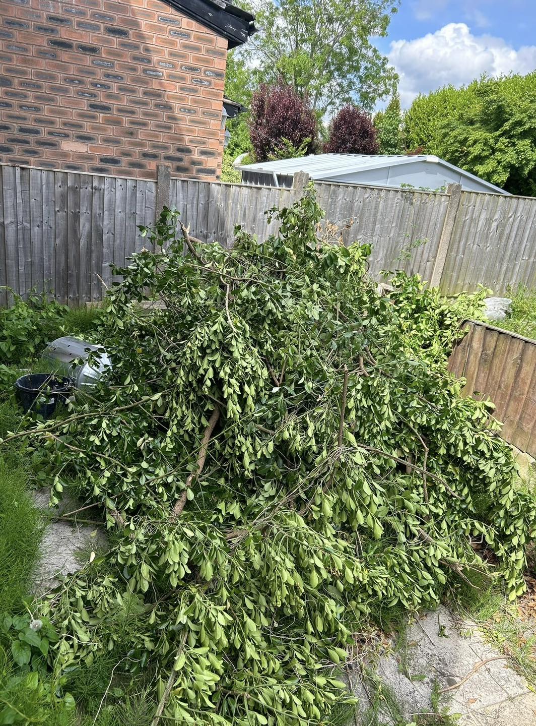 House & Garden Clearance service image